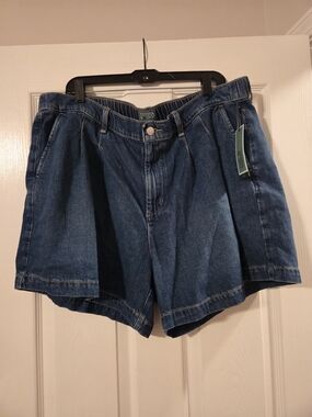Terra & Sky Blue Denim Pleated Women's Shorts